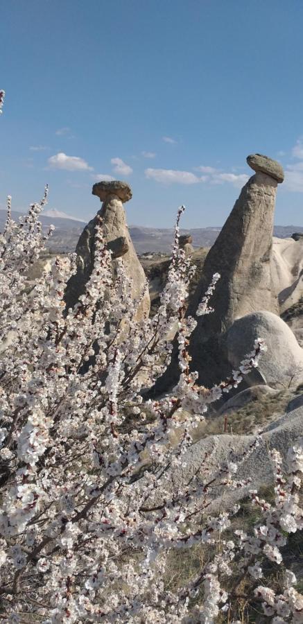 Peruna Cave Göreme Kültér fotó